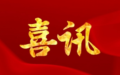 公司順利通過(guò)浙江省企業(yè)技術(shù)中心復(fù)評(píng)，并獲“優(yōu)秀”等級(jí)